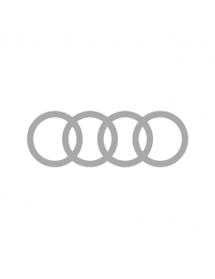 Audi Logo Ripieno - Adesivo Prespaziato 2