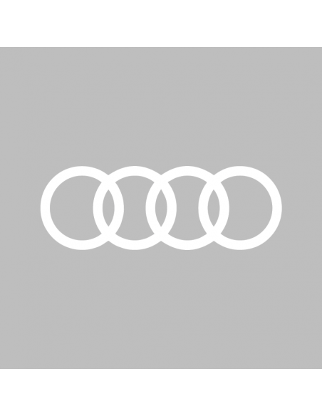 Adesivo Audi Logo Scritta - RP Grafica