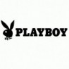 Playboy Scritta - Adesivo Prespaziato
