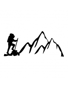 ELEGANTE DECALCOMANIA ADESIVO Cranio Fiammeggiante Per Auto Cisterna