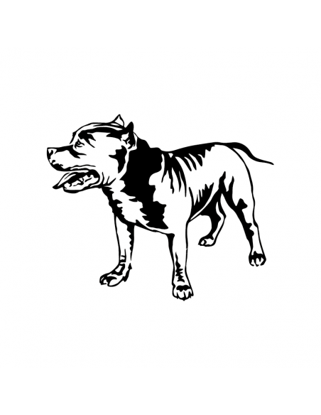 American Pit Bull Terrier - Adesivo Prespaziato