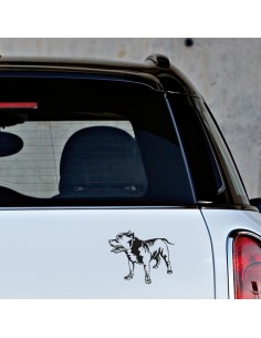 American Pit Bull Terrier - Adesivo Prespaziato 2