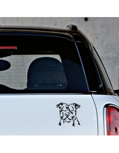 Staffordshire Bull Terrier Faccia 1 - Adesivo Prespaziato 2