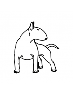 Bull Terrier 2 - Adesivo Prespaziato