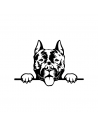American Staffordshire Terrier - Adesivo Prespaziato