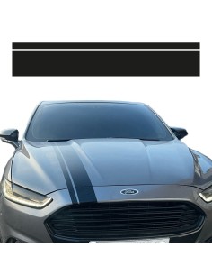 Strisce Cofano V2  - Adesivo Prespaziato