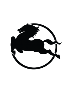 Logo Iveco - Adesivo...