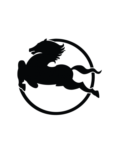 Logo Iveco - Adesivo Prespaziato