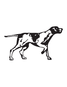 Pointer Posa v2 - Adesivo...