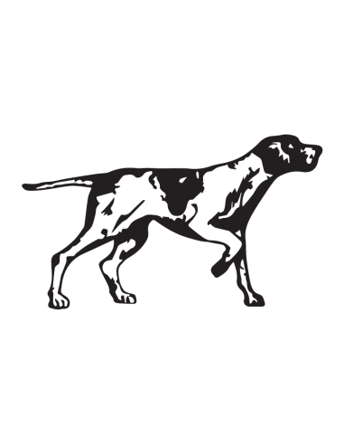 Pointer Posa v2 - Adesivo Prespaziato