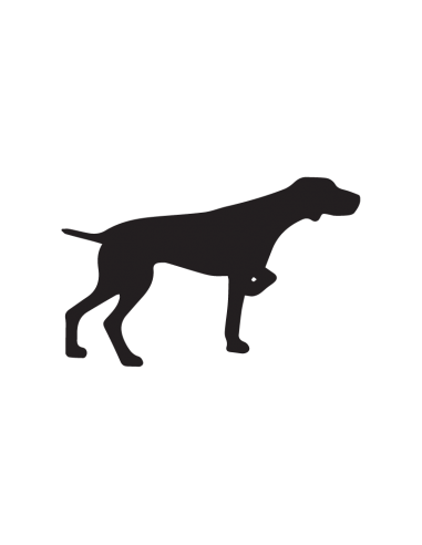 Pointer Posa v3 - Adesivo Prespaziato