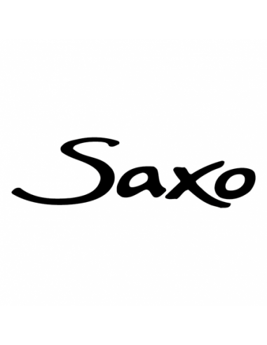 Logo Citroen Saxo - Adesivo Prespaziato